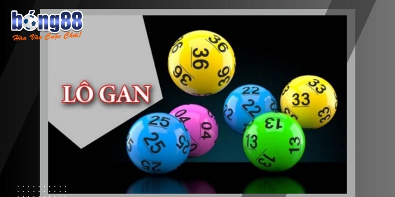 Chi tiết về lô gan