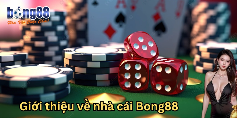 Giới thiệu về nhà cái