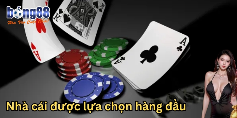 Lựa chọn hàng đầu