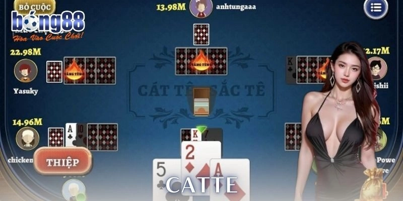 Ưu điểm nổi bật của catte